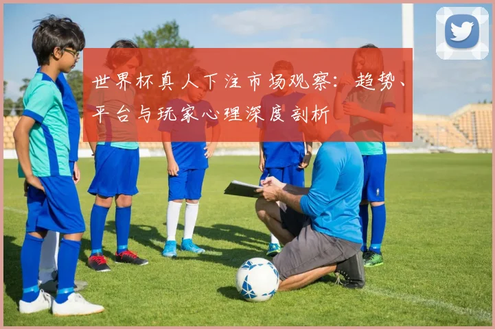 世界杯真人下注市场观察：趋势、平台与玩家心理深度剖析