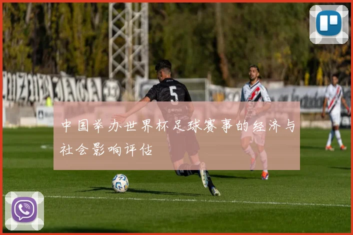 中国举办世界杯足球赛事的经济与社会影响评估