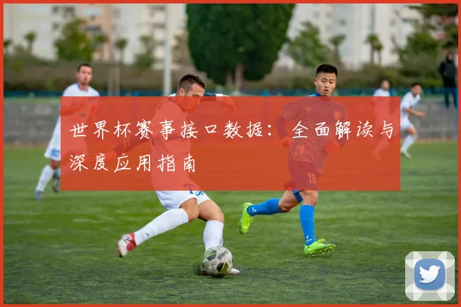 世界杯赛事接口数据:全面解读与深度应用指南