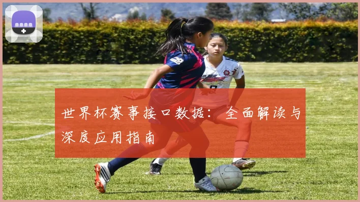 世界杯赛事接口数据:全面解读与深度应用指南