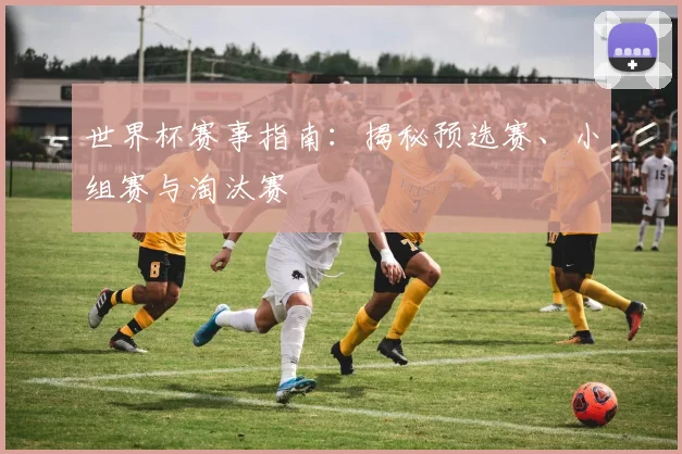 世界杯赛事指南:揭秘预选赛、小组赛与淘汰赛