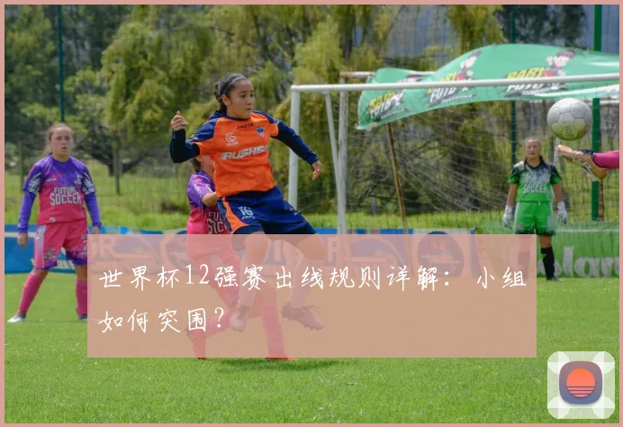 世界杯12强赛出线规则详解:小组如何突围?