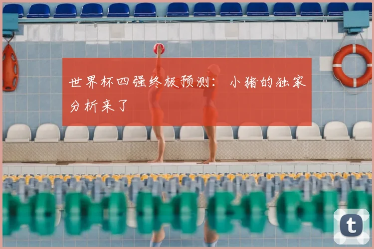 世界杯四强终极预测：小猪的独家分析来了
