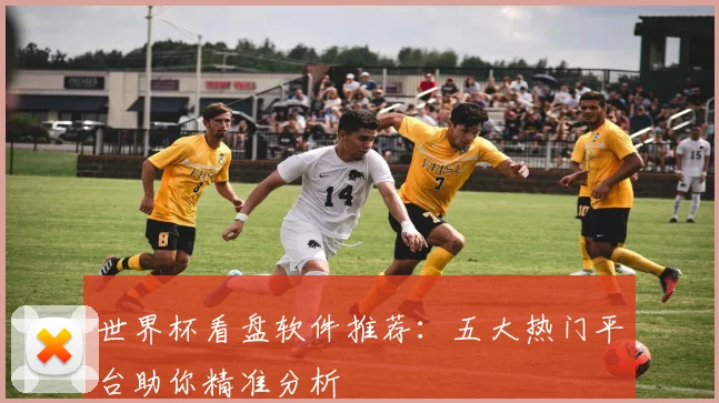 世界杯看盘软件推荐:五大热门平台助你精准分析
