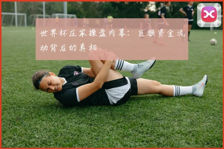 世界杯庄家操盘内幕:巨额资金流动背后的真相
