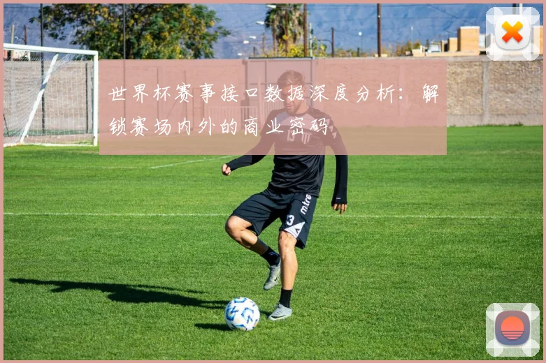 世界杯赛事接口数据深度分析：解锁赛场内外的商业密码